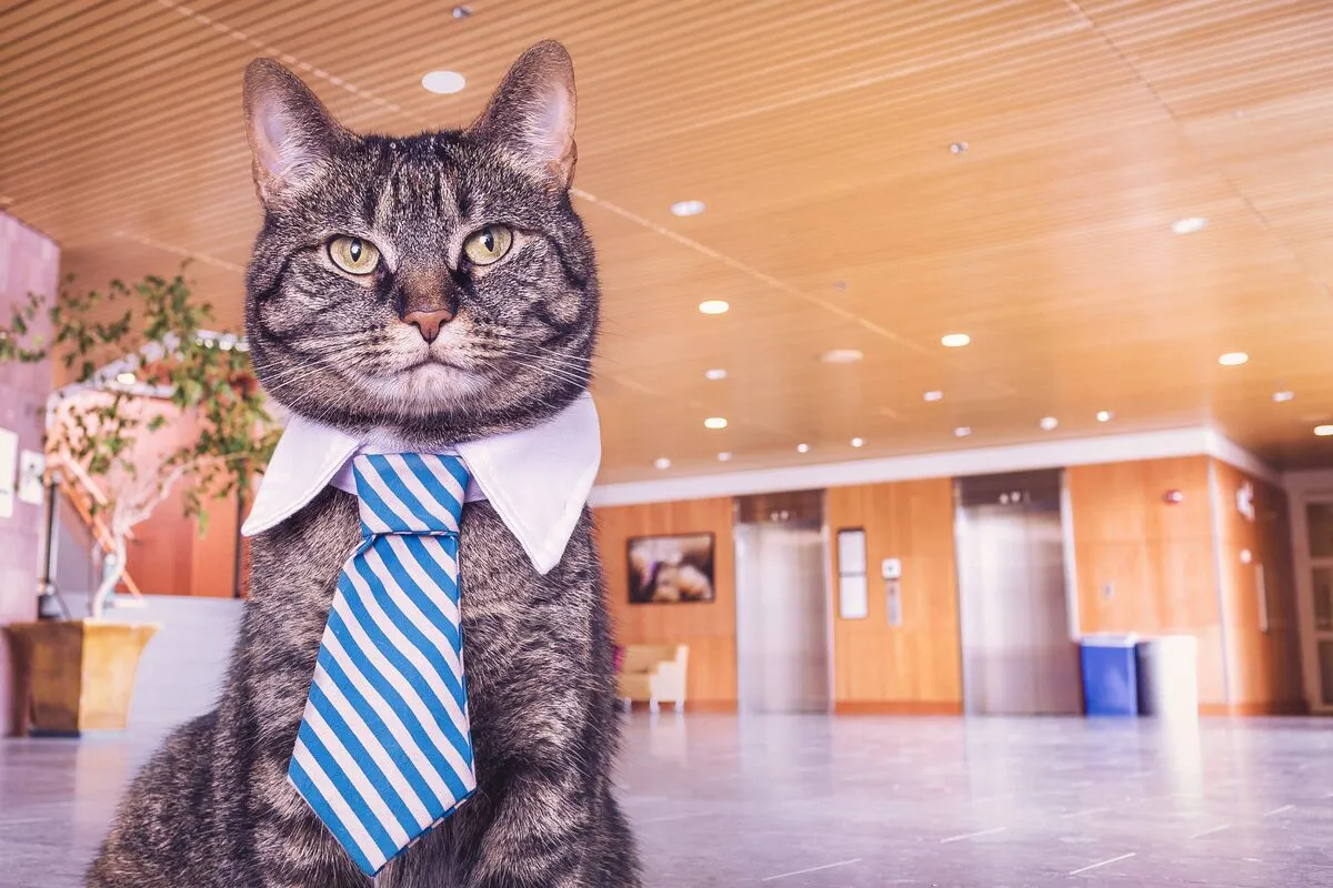 A tabby cat wearing a collar and blue striped tie, sitting in an empty office lobby.